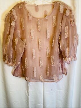 Sheer Blush Textured Boho Blouse | Puff Sleeve Organza Top L